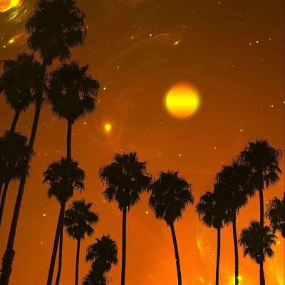 南宫28ng娱乐下载手机版